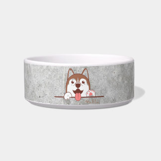 Ceramic pet bowl napf