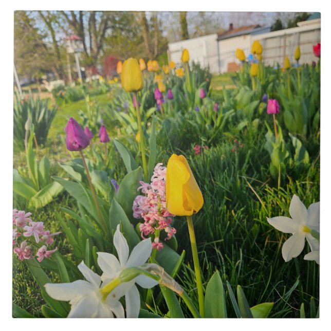 Ceramic Tile Fliese (Vorderseite)