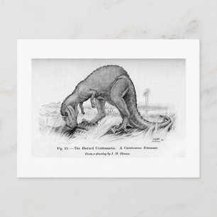 Ceratosaurus Art Postcard Postkarte