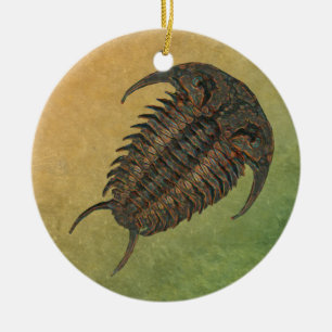 Ceraurus Fossil Trilobite Keramikornament