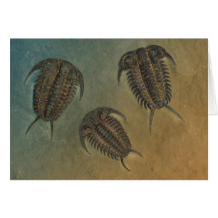 Ceraurus und Leviceraurus