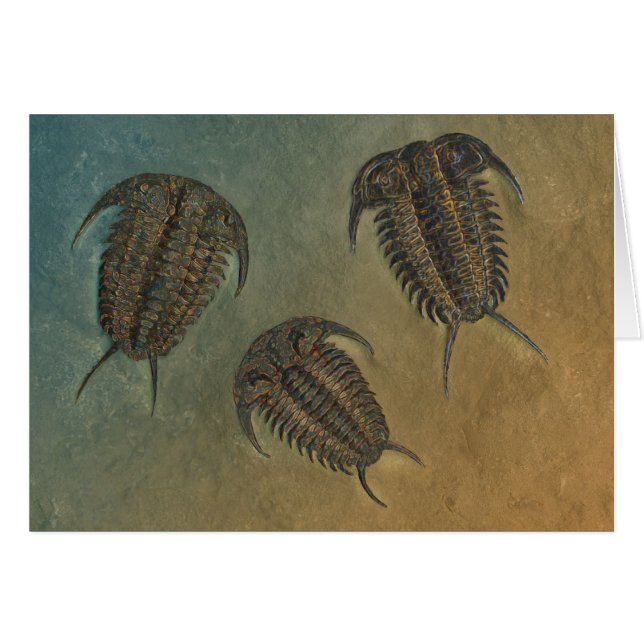 Ceraurus und Leviceraurus (Vorderseite (Horizontal))