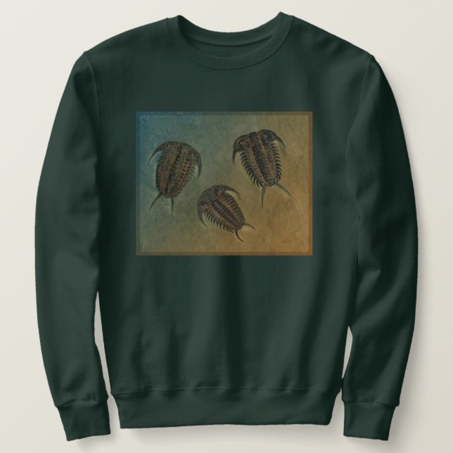 Ceraurus und Leviceraurus Sweatshirt (Design vorne)
