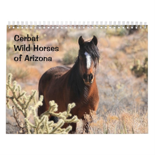 Cerbat Wild Horses Calendar Kalender (Titelbild)
