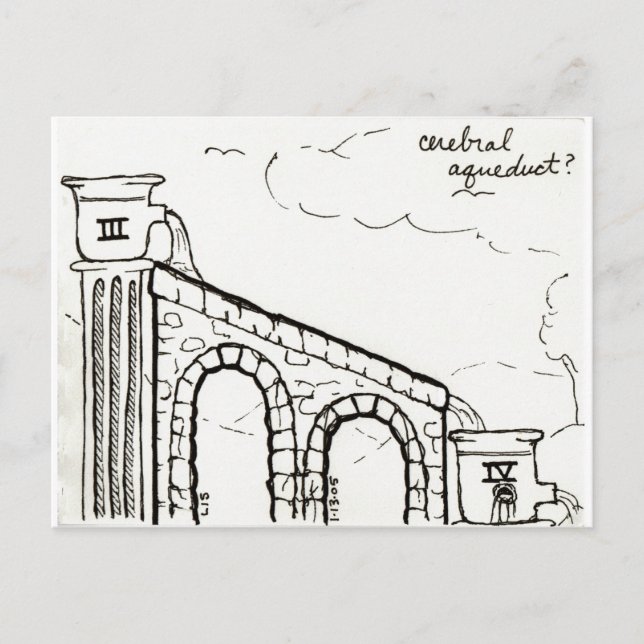 Cerebral Aqueduct Postkarte (Vorderseite)