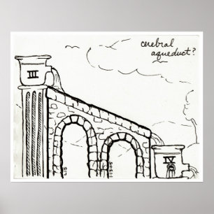 Cerebral Aqueduct Print Poster