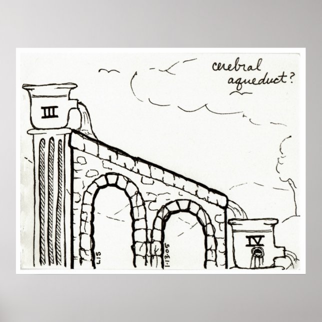 Cerebral Aqueduct Print Poster (Vorne)