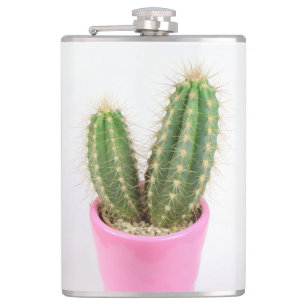Cereus cactus flachmann