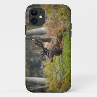 Cerf en forêt de fontainebleau Case-Mate iPhone hülle