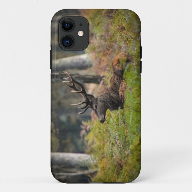Cerf en forêt de fontainebleau Case-Mate iPhone hülle (Rückseite)