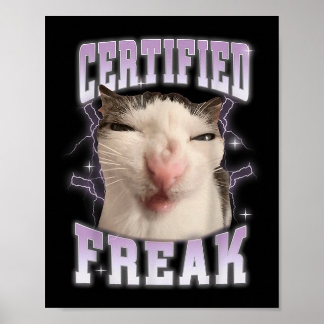 Certified Freak Eat Cement Cursed Cat Funny Cats M Poster (Vorne)