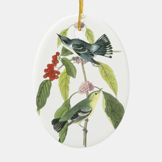 Cerulean Trällerer, John Audubon Keramik Ornament (Vorne)