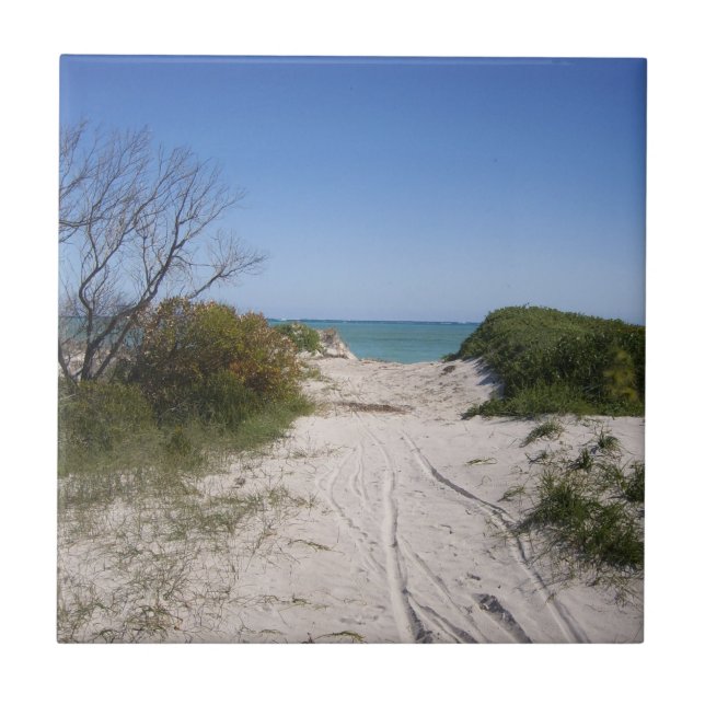 Cervantes WA Keramik Tile Fliese (Vorderseite)