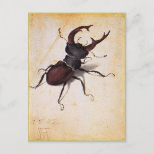 Cervus Lucanus von Albrecht Durer Postkarte