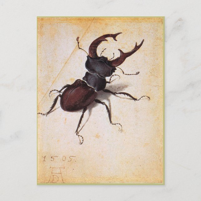 Cervus Lucanus von Albrecht Durer Postkarte (Vorderseite)