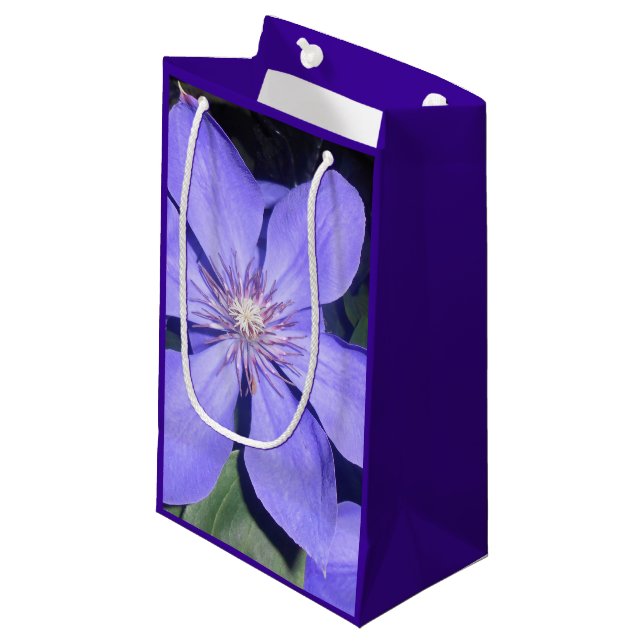 Césarine Kleine Geschenktüte (Vorderseite Schrägansicht)