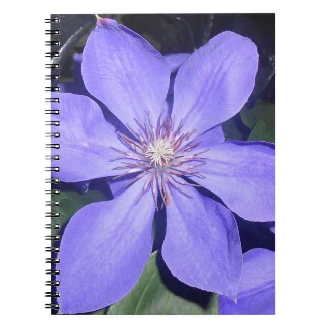 Césarine Notizblock (Vorderseite)