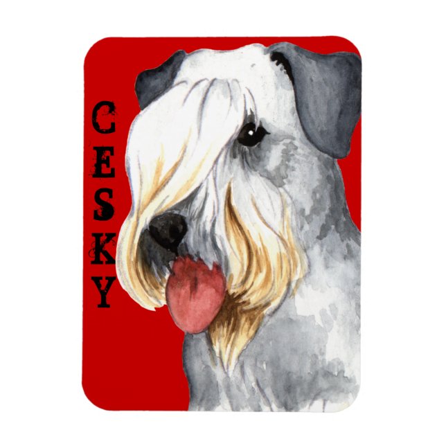 Cesky Terrier Farbblock Magnet (Vertikal)