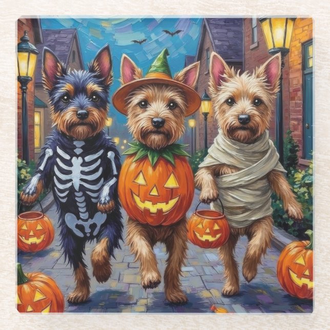 Cesky Terrier Süßigkeitenbetteln Halloween-Kostüm  Glasuntersetzer (Vorderseite)