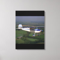 Cessna 170, 1948,