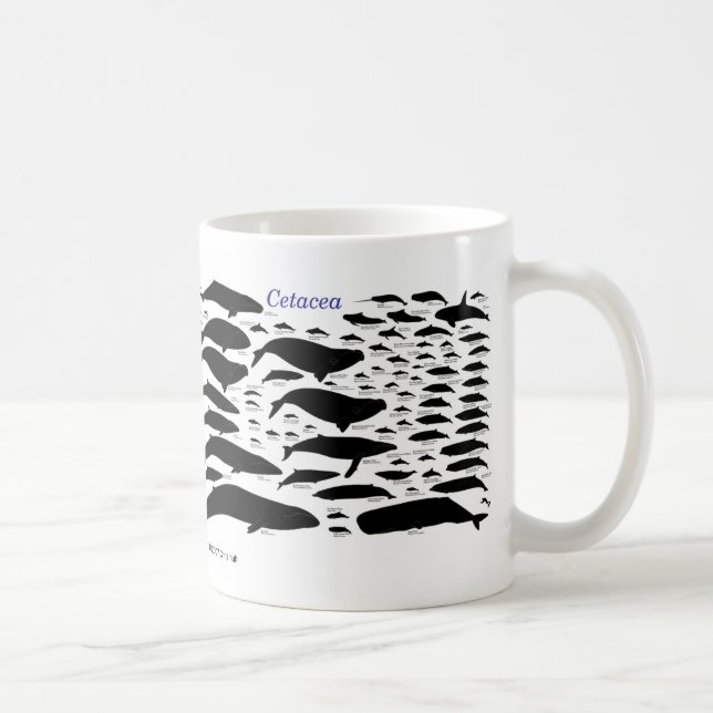 Cetaceans Tasse (Rechts)