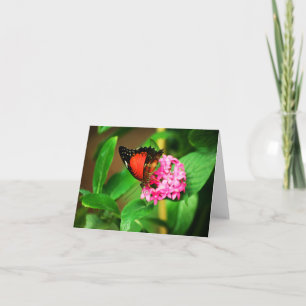 Cethosia Biblis Card Karte