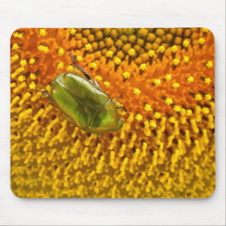 Cetonia aurata mousepad