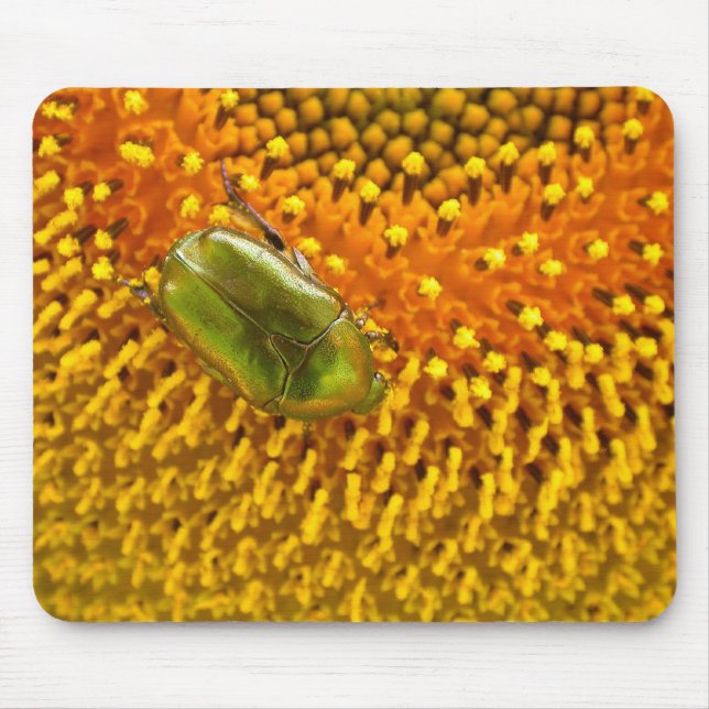 Cetonia aurata mousepad (Vorne)