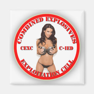 CEXC kombinierte Sprengstoff-Ausnutzungs-Zelle Magnet