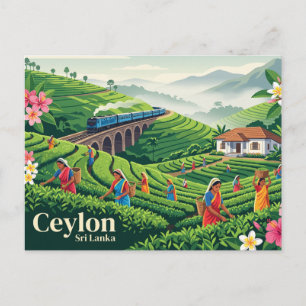 Ceylon Sri Lanka Postkarte