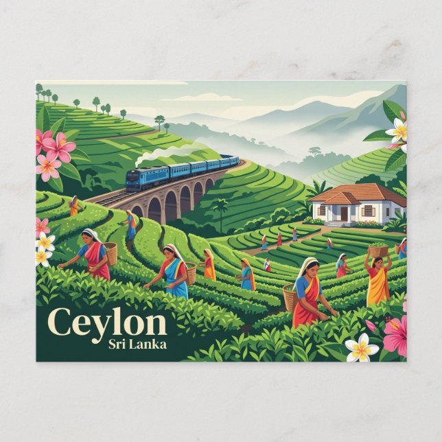 Ceylon Sri Lanka Postkarte (Vorderseite)