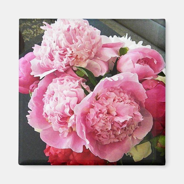CF - Rosa Peony Magnet (Vorne)