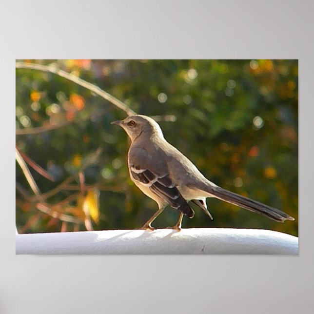CG-Mockingbird-Poster Poster (Vorne)