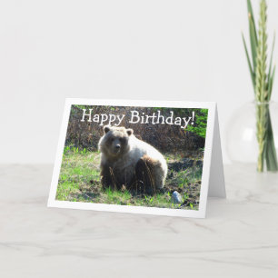 CGB Chubby Grizzly Bear Karte