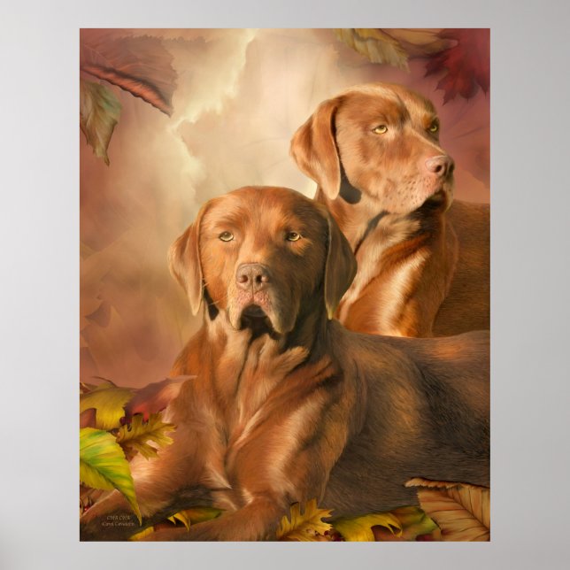 Cha Cha - The Chocolate Labrador Art Poster/Print Poster (Vorne)