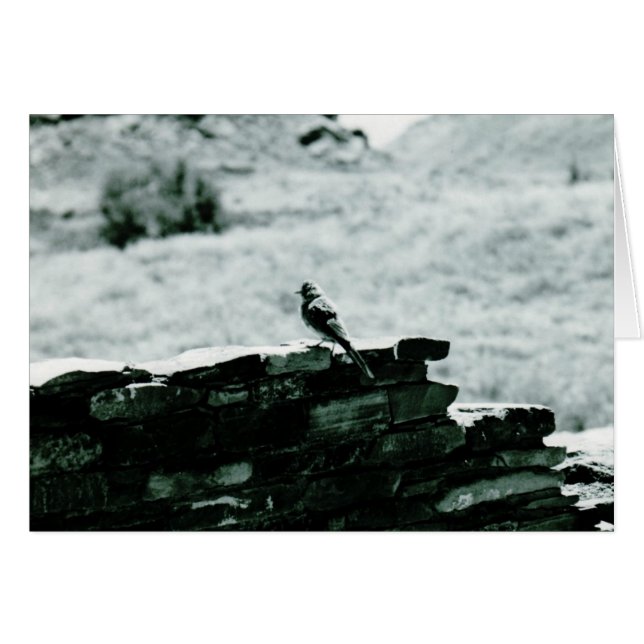 Chaco Bird-Karte (Vorderseite (Horizontal))