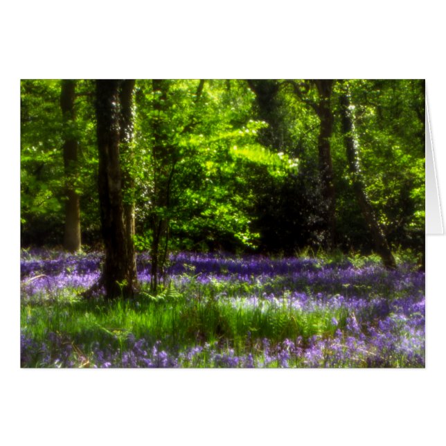 Chaddesley Glockenblumen (Vorderseite (Horizontal))