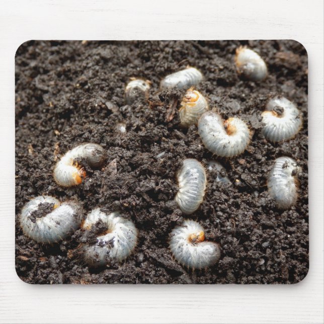Chafer Larva Mouse Mat Mousepad (Vorne)