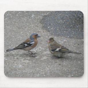 Chaffinch Fütterte Me Mousepad