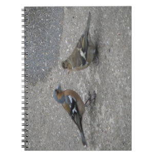 Chaffinch Füttre Me Notebook Notizblock