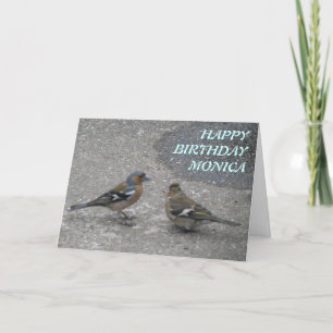 Chaffinch Füttre mir benutzerdefinierte Grußkarte Karte