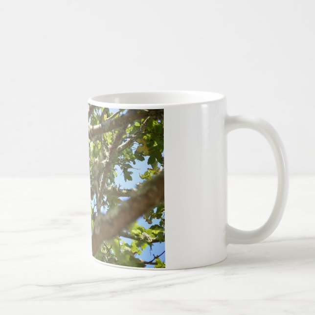 Chaffinch Kaffeetasse (Rechts)