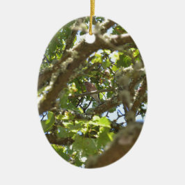 Chaffinch Keramik Ornament