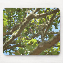 Chaffinch Mousepad