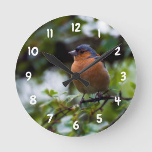 Chaffinch on a branch Acrylic wall clock Runde Wanduhr