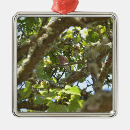 Chaffinch Ornament Aus Metall