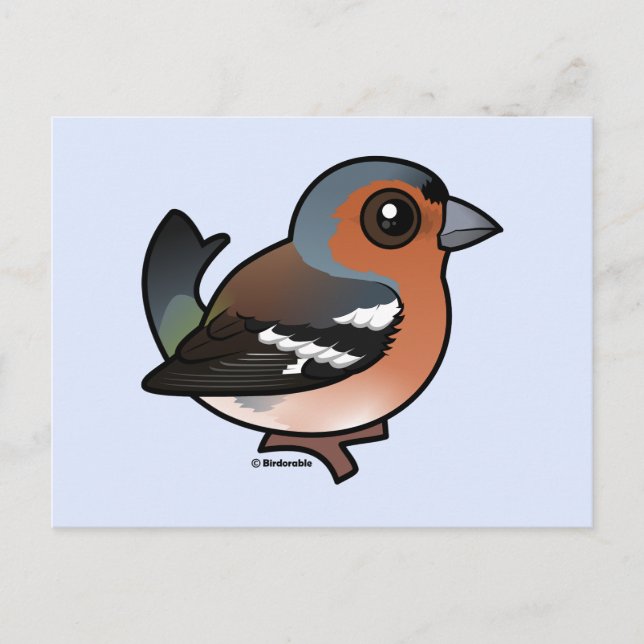 Chaffinch Postkarte (Vorderseite)
