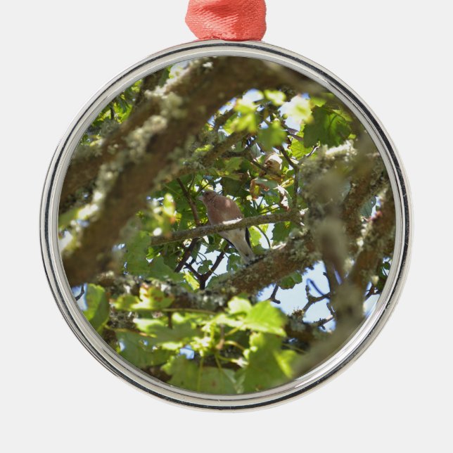 Chaffinch Silbernes Ornament (Vorne)