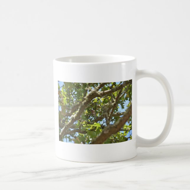 Chaffinch Tasse (Rechts)