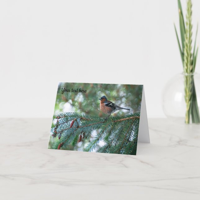 Chaffinch Vogel Grußkarte Dankeskarte (Vorderseite)